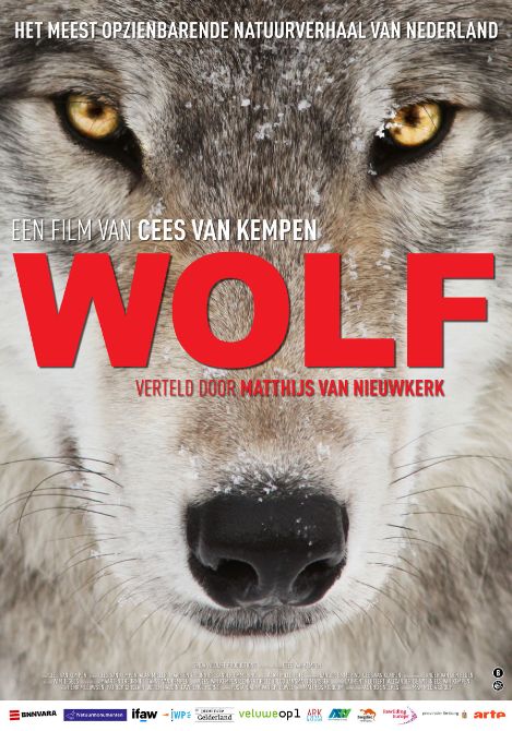 Film matinee: Wolf