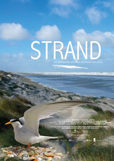Film matinee: Strand