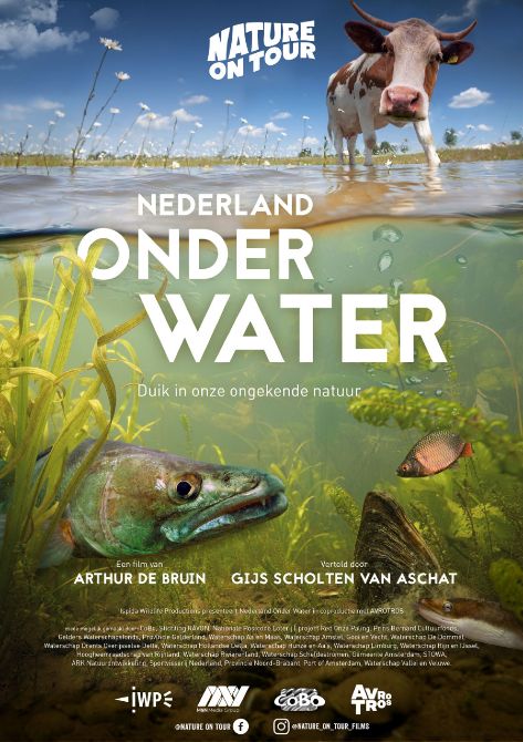Film matinee: Nederland onderwater