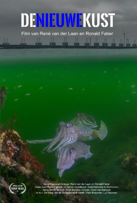 Film matinee:  De nieuwe kust