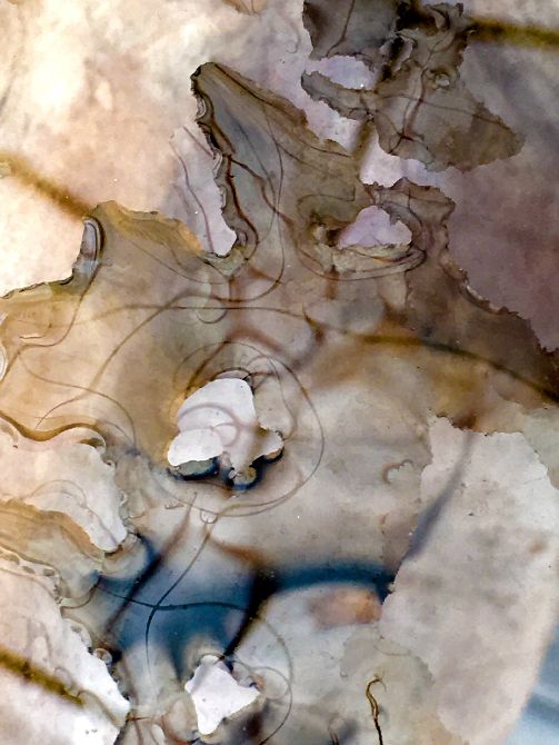 Masterclass hét abstracte plaatje