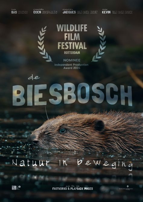 Film matinee: De Biesbosch – Natuur in beweging