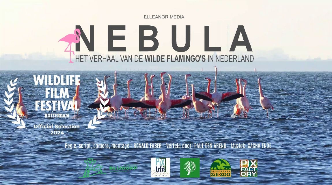Film matinee: Nebula inclusief presentatie van Ronald Faber
