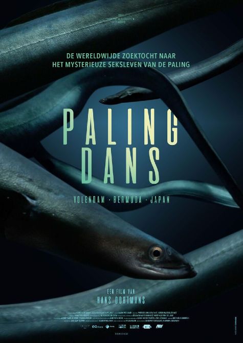 Film matinee: Palingdans