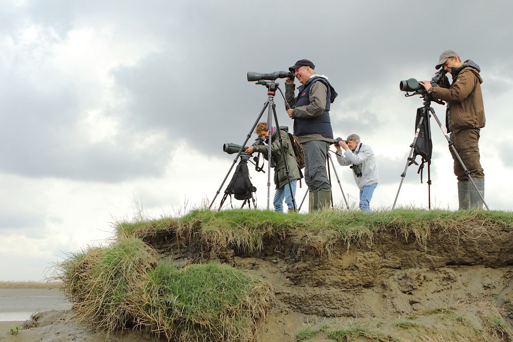 Dagworkshop digiscoping & phonescoping