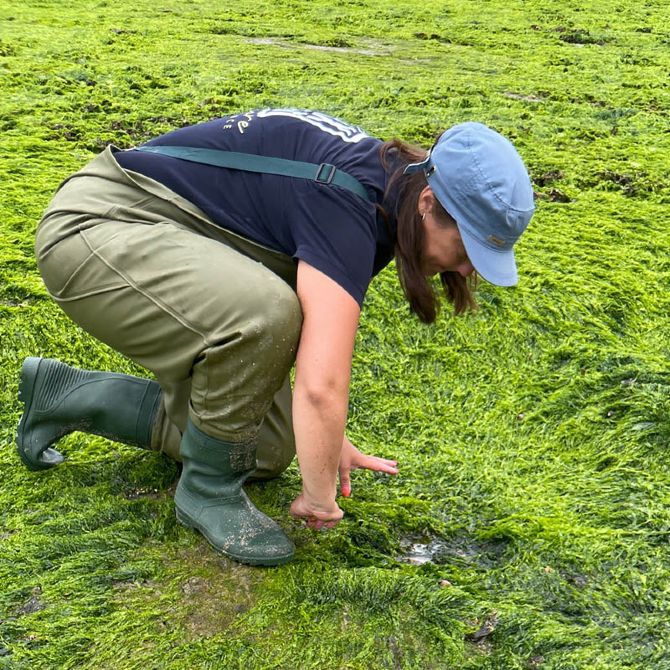 Winterexpeditie | Van strandvondst tot zeewierhapje