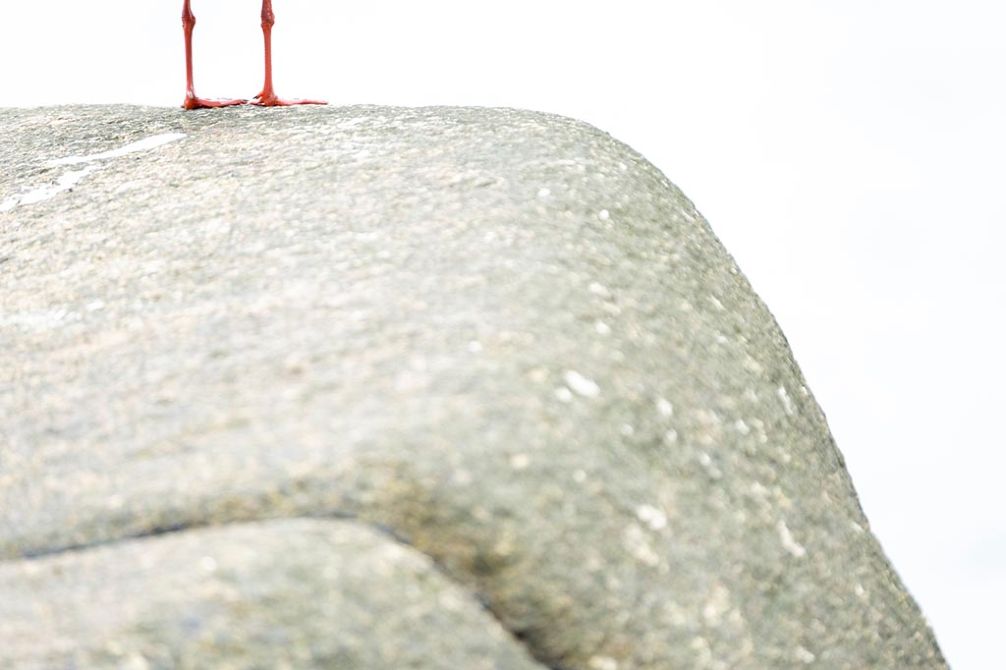 Masterclass Creative @ Sea met Bob Luijks