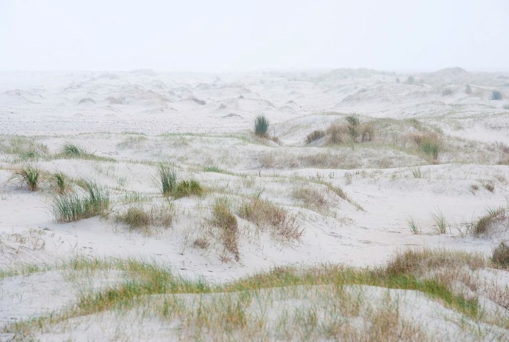 Fotografieworkshop Kwade Hoek