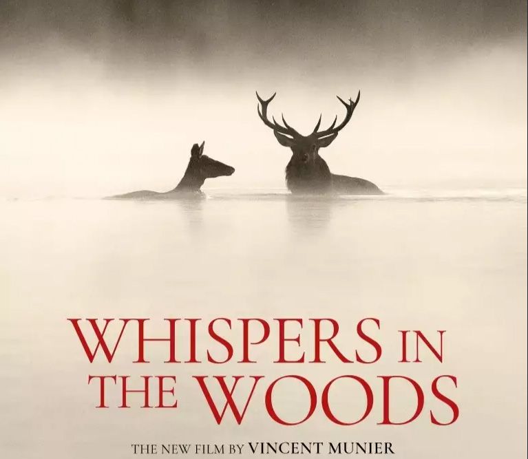 Filmvoorstelling: Whispers in the woods