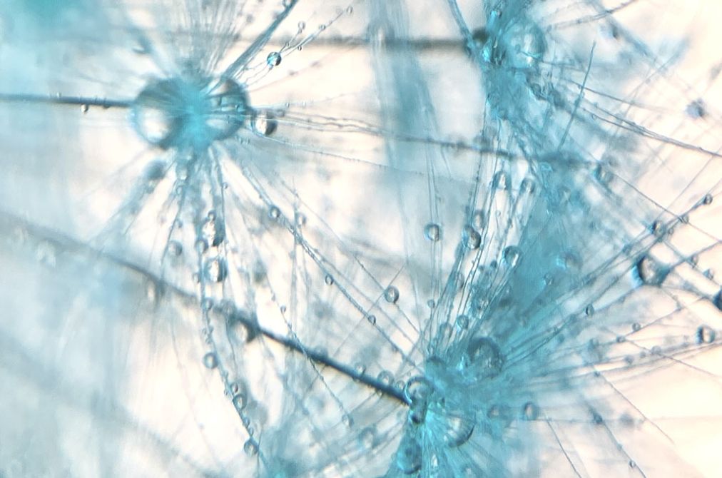 Masterclass Creatieve smartphone fotografie met Andrea Gulickx
