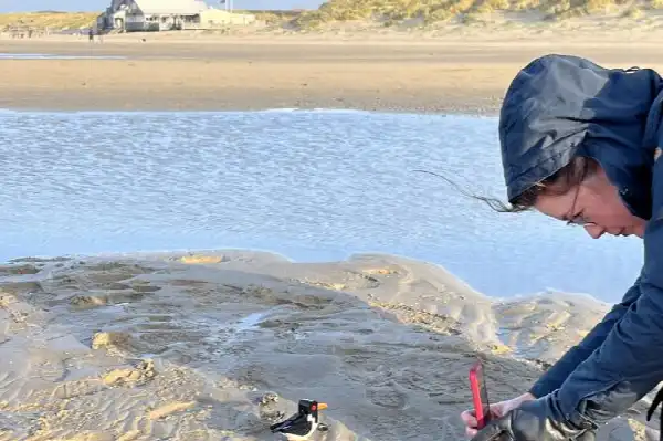 Bouw &amp; fotografeer een Scholekster van LEGO