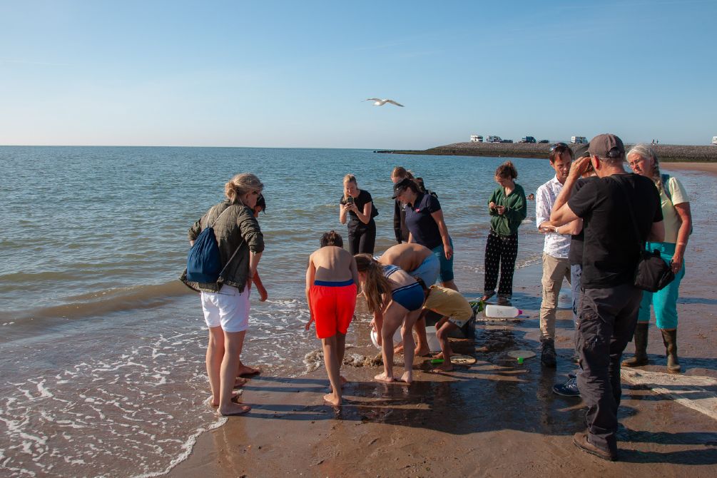 Strandexcursie, sleepnetvissen langs het strand